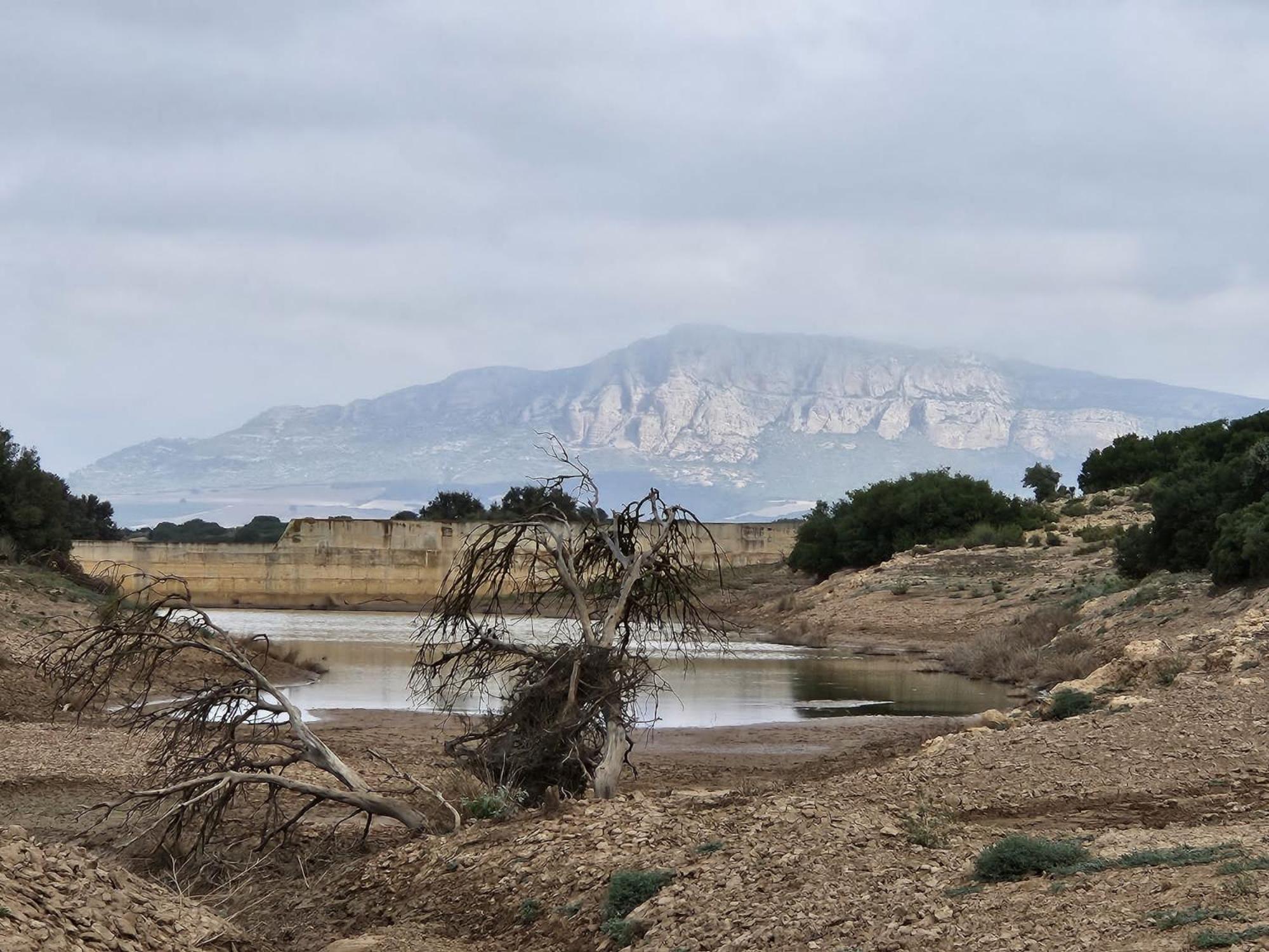Finca Las Botas Альманса Экстерьер фото
